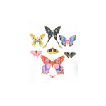 Butterflies Card