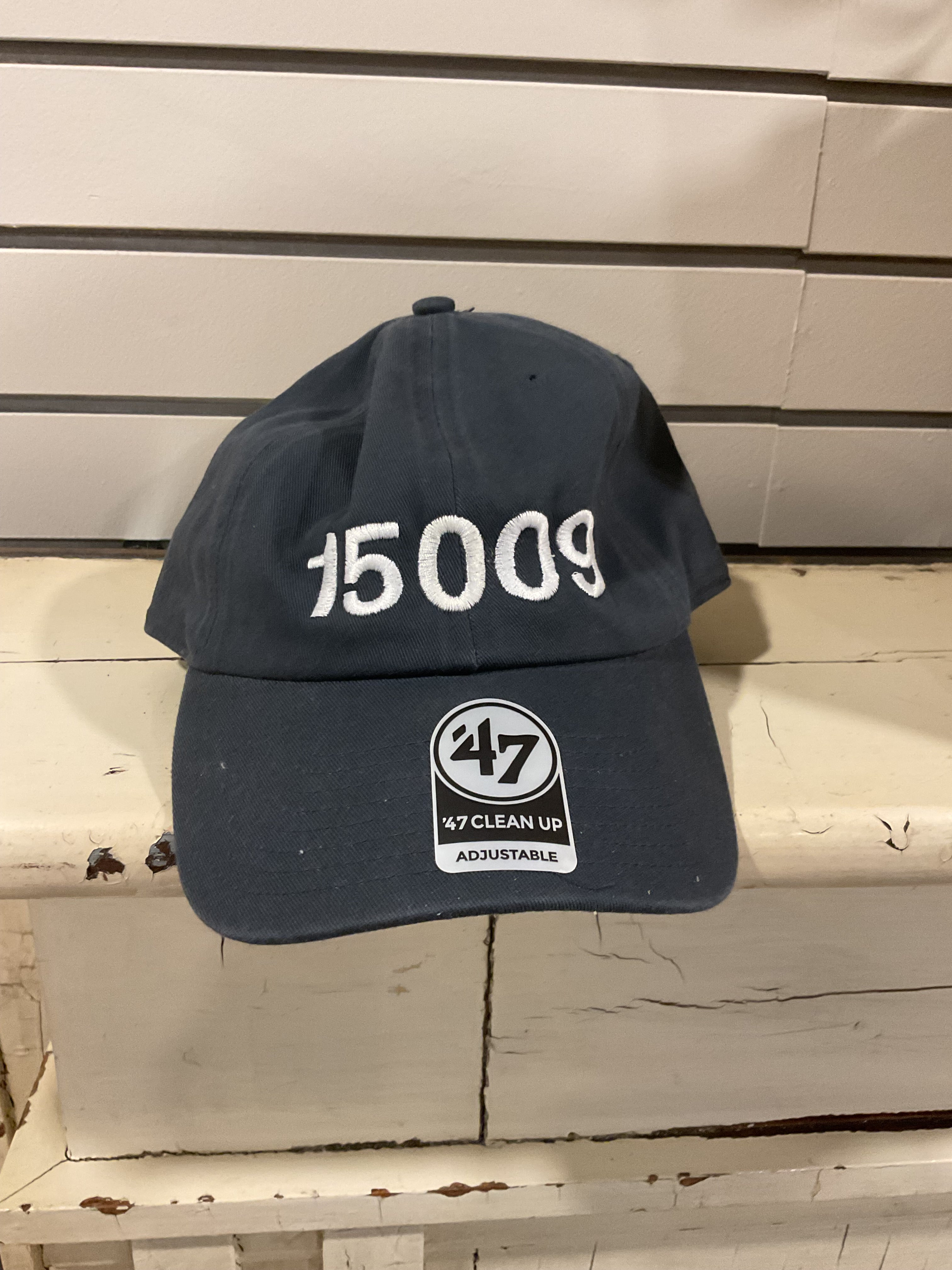 15009 Embroidered Hat
