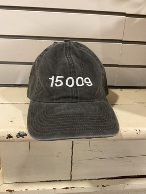 15009 Embroidered Hat