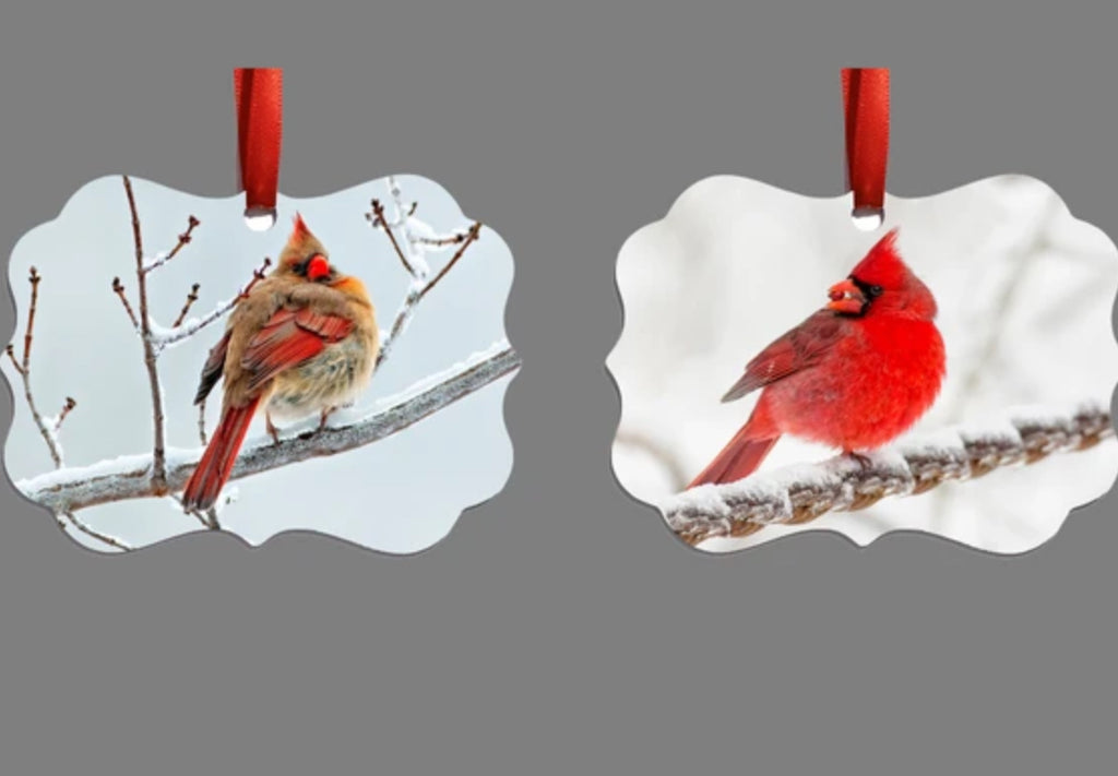 Emmanuel Photography Ornament