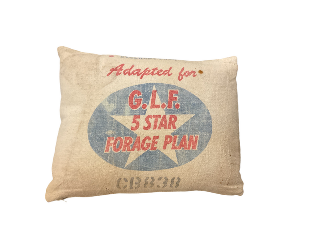 G.L.F. 5 Star Forage Plan Vintage Pillow