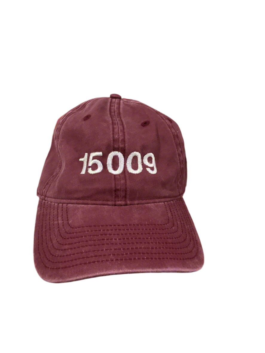15009 Embroidered Hat