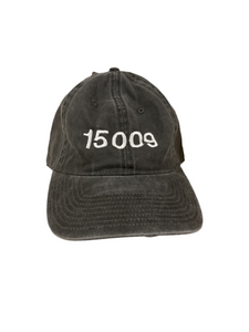 15009 Embroidered Hat